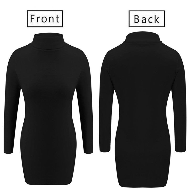 Turtleneck skinny bag hip dress - Sophinity