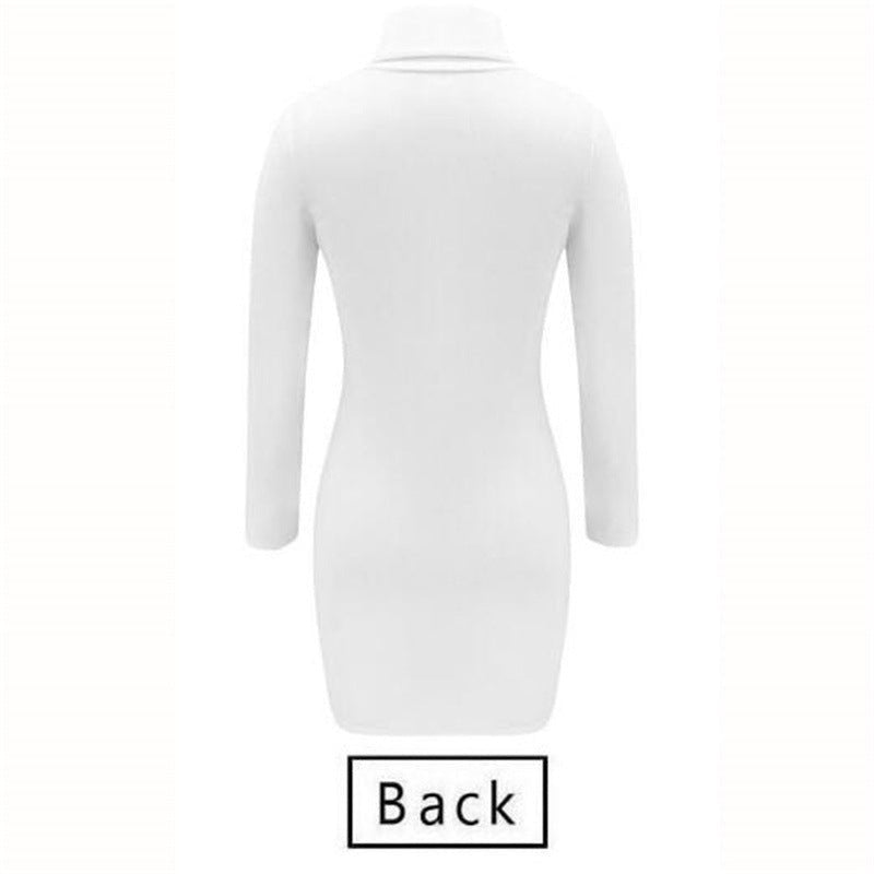 Turtleneck skinny bag hip dress - Sophinity