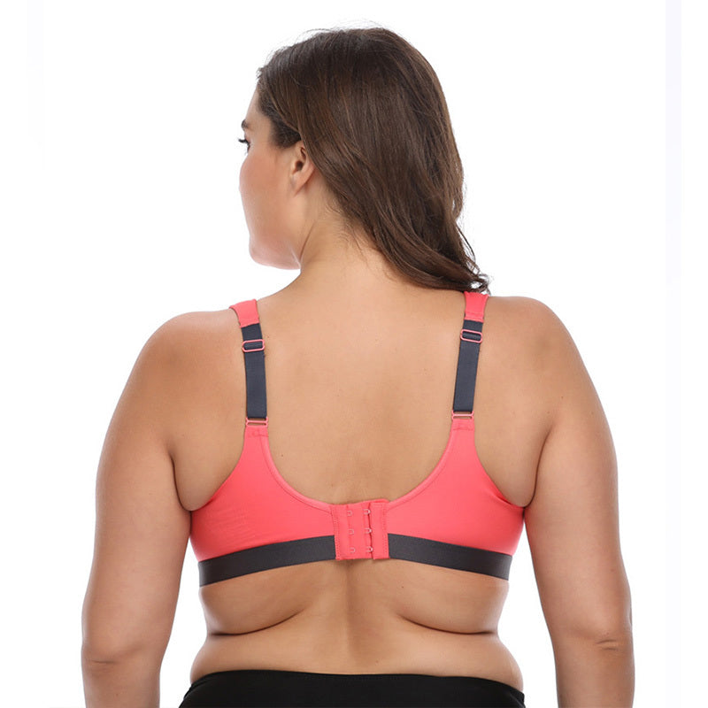 No steel collar underwear bra - Sophinity