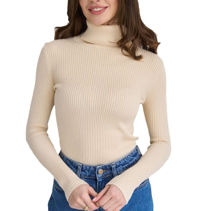 Women's Knitwear Turtleneck Pullover - Sophinity