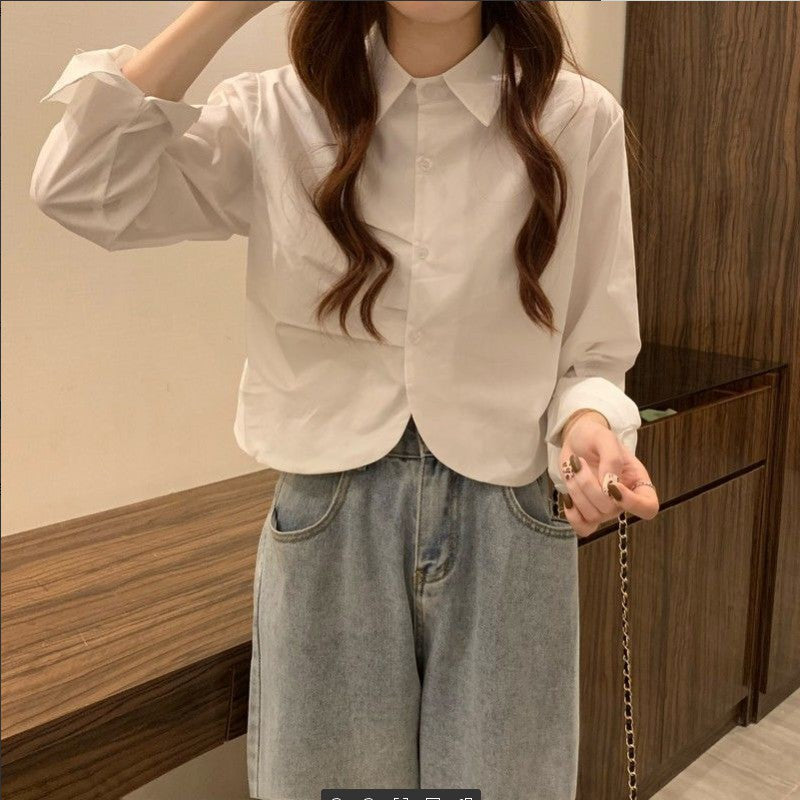 French White Shirt Women's Spring Design Sense Niche Shirt Temperament High Sense Chic Beautiful Short Long Sleeve Top